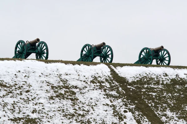 Ancient Guns