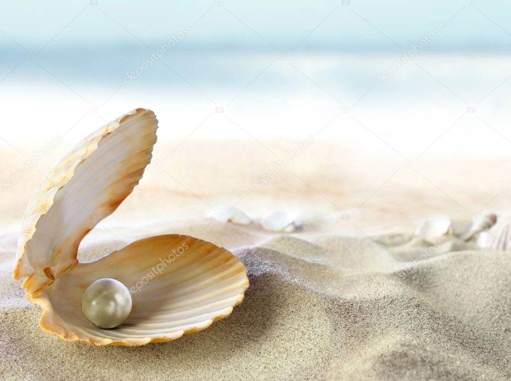 Seashell With Pearl