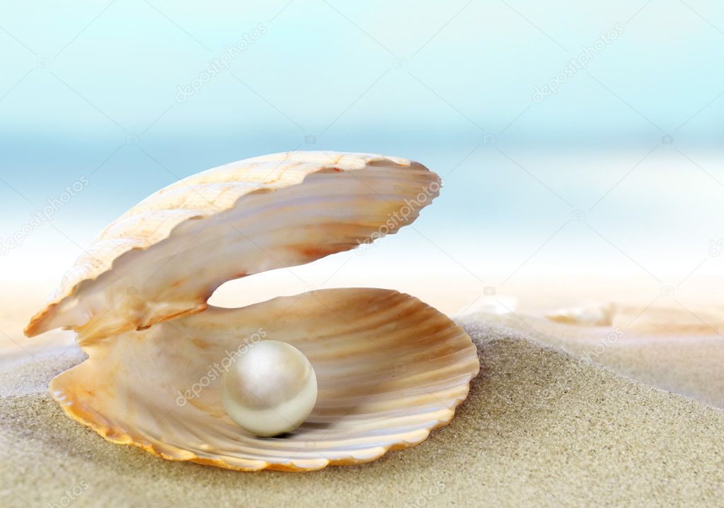 seashell pearl