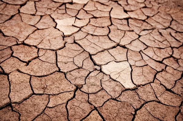 Dry cracked earth — Stock Photo #5910462