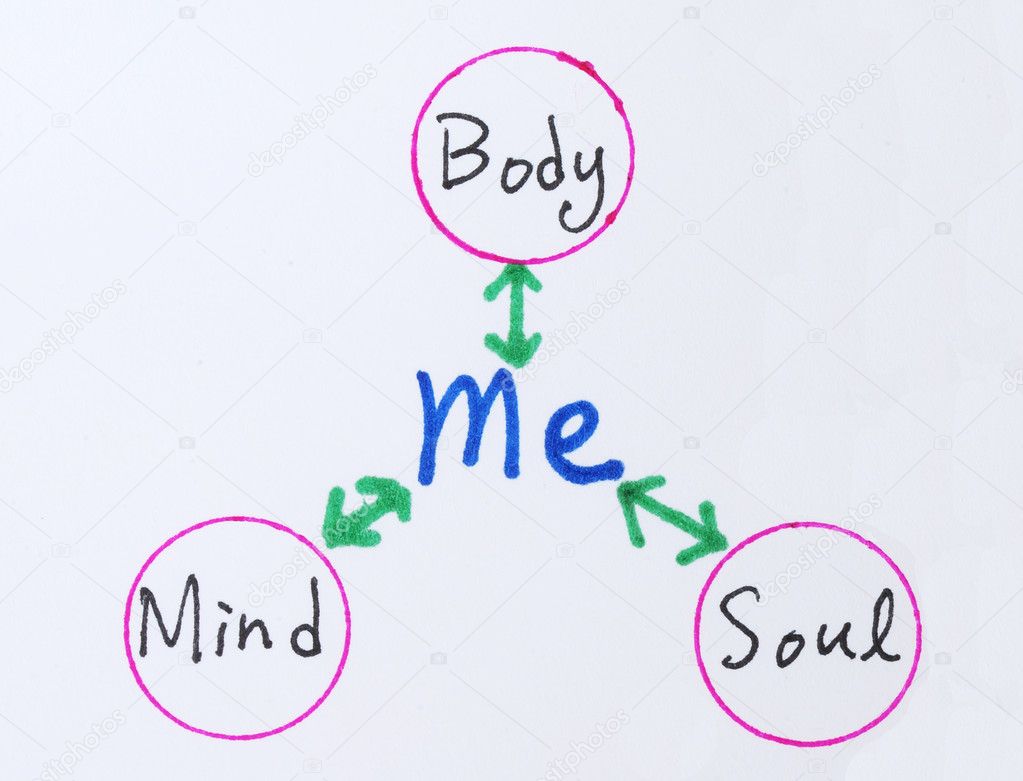 relationship between mind and body essay relationship between mind and body essay