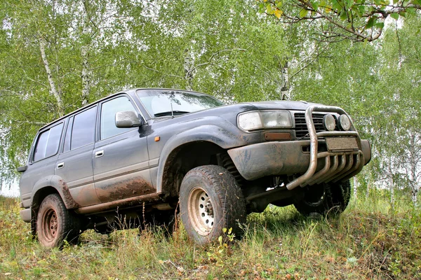 Dark offroad vehicle at forest border