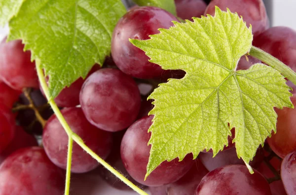Red grapes with green leaves