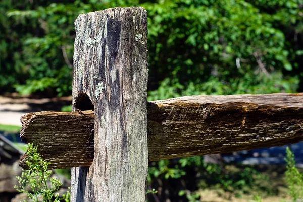 Old fence post in nature