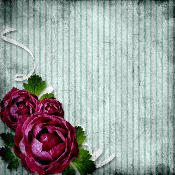 Roses on the grunge striped background