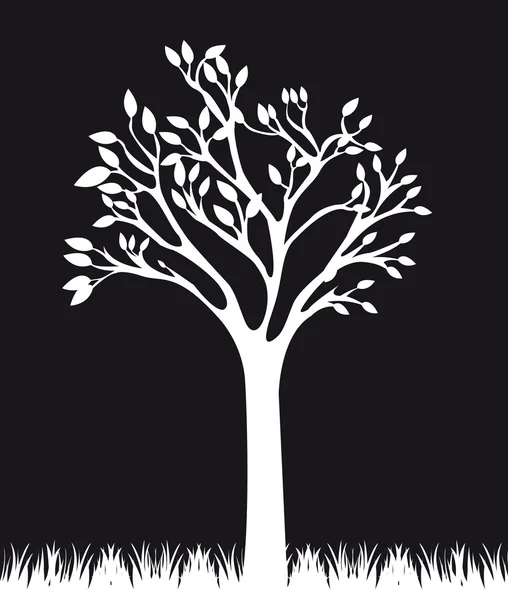 Black and white tree — Stock Vector © yupiramos 6365764