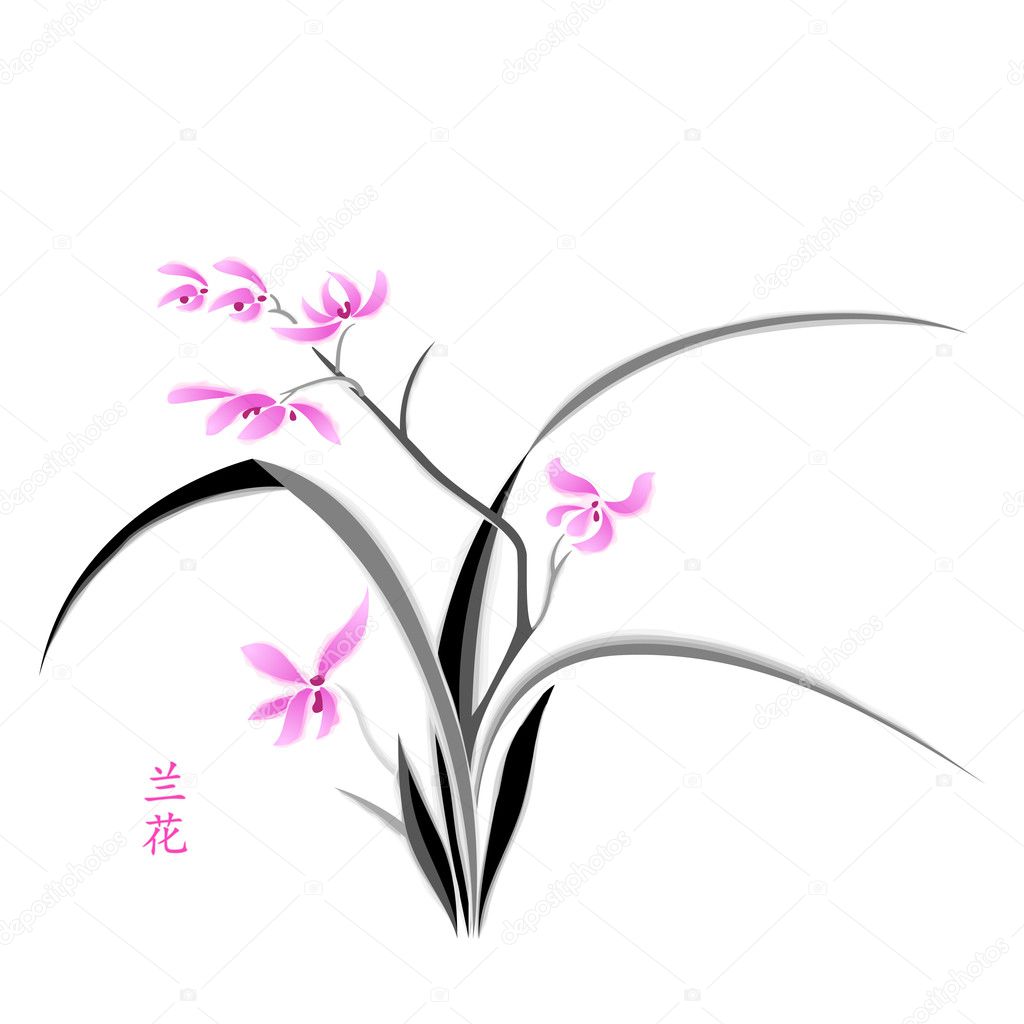 Japanese Orchid Painting