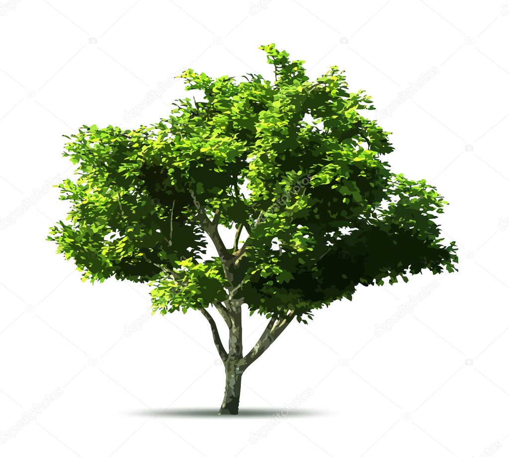 Green Tree Pictures