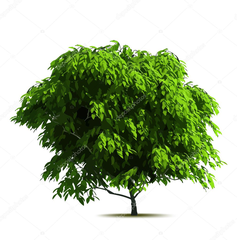 tree in vector