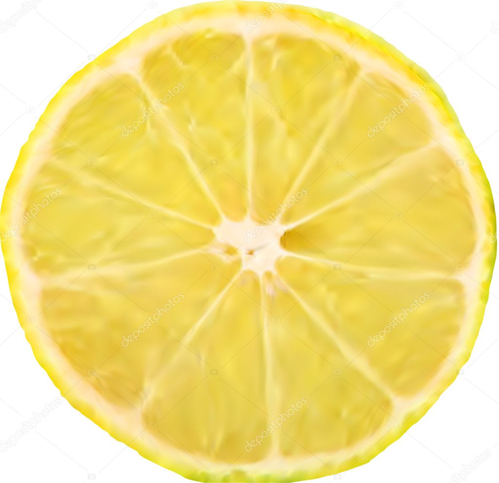 Lemon Slice