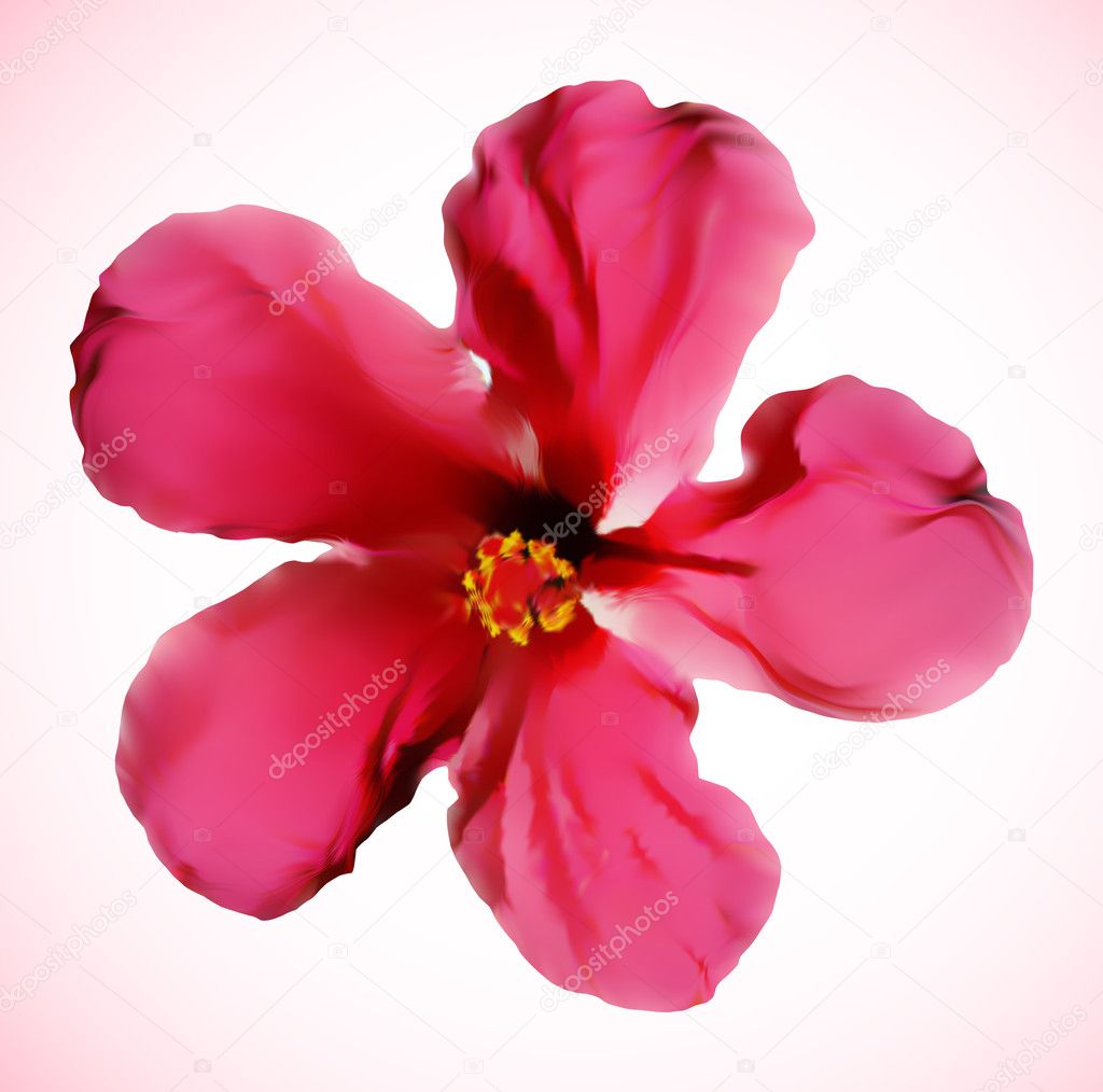 Click Here for hibiscus flower