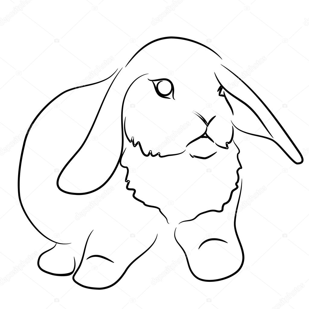 Lop Eared Rabbit Coloring Pages Printable Coloring Pages