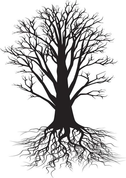 Tree Silhouette Illustration 5561090 Royalty Free Stock Photos Illustratio Tree Silhouette Silhouette Illustration Illustration