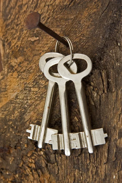 Forgotten keys on an old nail