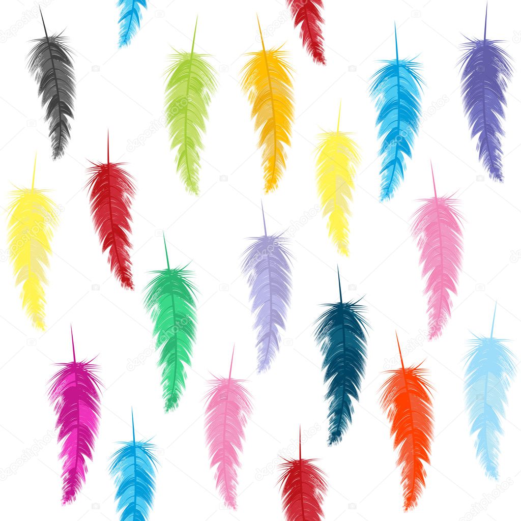 colored feathers