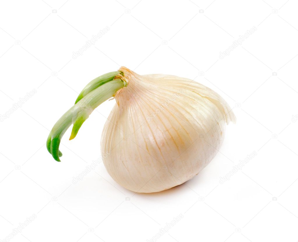 White Onion