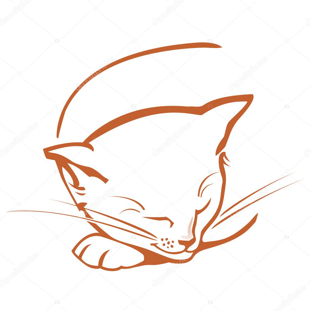 cat head sketch