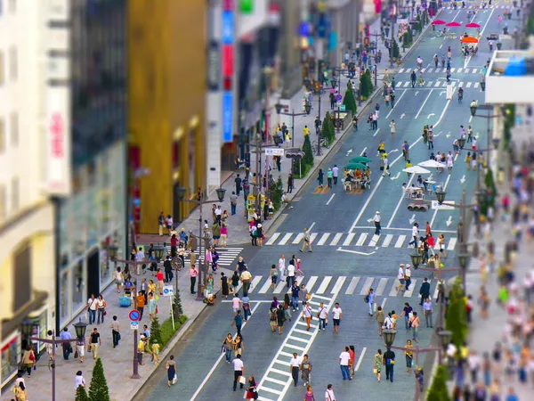 Tokyo pedestrian zone