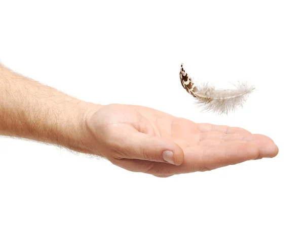 Hand With Feather