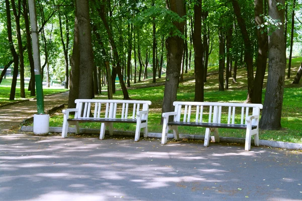 Benches in the park during the summer Kuzminki, Moscow