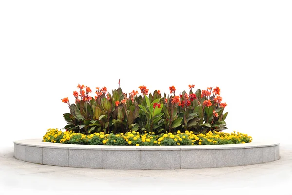 The flower-bed with red and yellow flowers