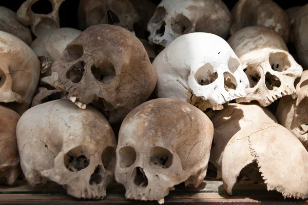 Skulls from a mass grave of Khmer Rouge victims in Choeung Ek