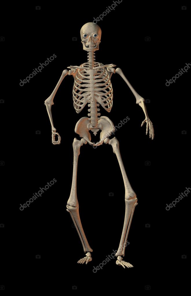 Skeleton Black Background