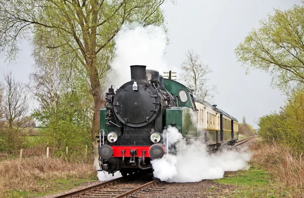 Steam train slowing