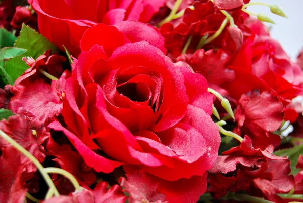 Close up of red roses bunch