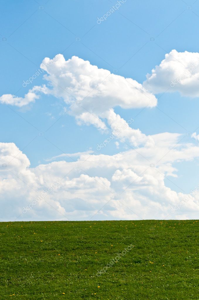 Grassy Hills