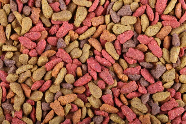 Dried pet food - Stock Photo
