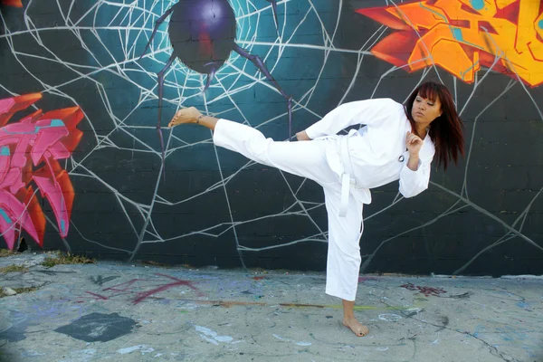Beautiful Martial Arts Girl and Graffiti (3)