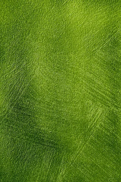 Grunge green texture for you project