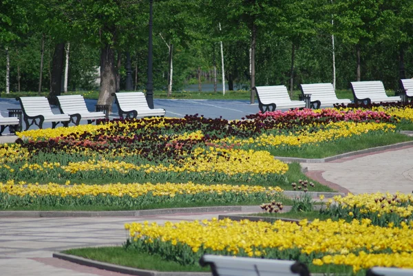 Outdoor - city park in Moscow at the spring and summer
