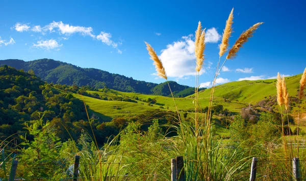 Beautiful landscapes of New Zealand