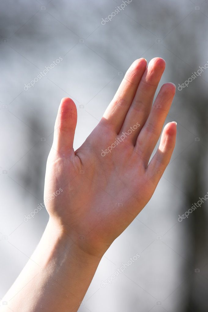 Female hand — Stock Photo © Dhoxax #6561145