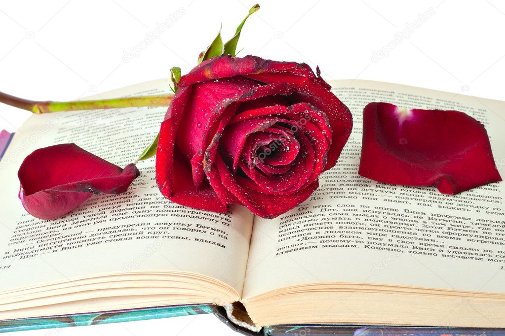Book Rose