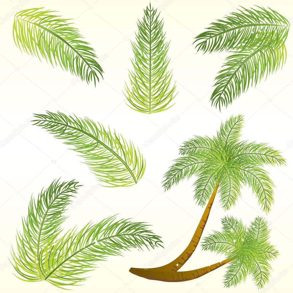 cartoon palm leaves