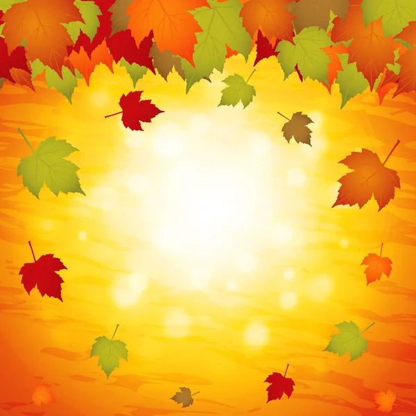 Fall Backgrounds on Autumn Leaves Background   Stock Vector    B  La D  Vid  6701136