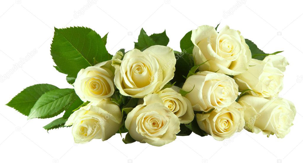 Gambar Bunga Mawar Putih Cantik Yuk Bikin Cantik Wajah Dengan Air Mawar Tips Dari Artis Ini Pos Bunga Closeup Romantis Foto G White Roses Rose Rose Wallpaper