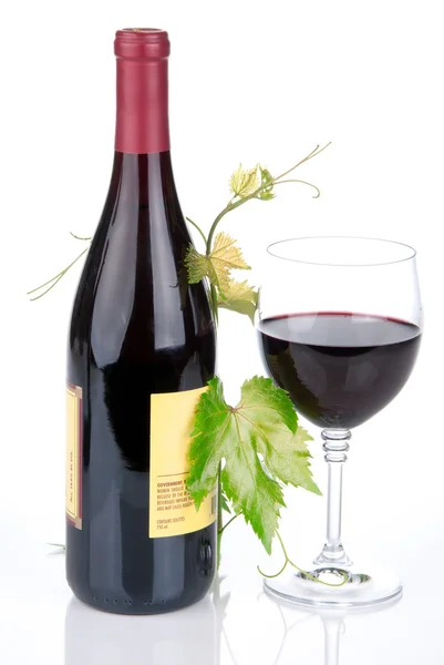 Bottle of wine in the vine with red wine glass on a white backgr