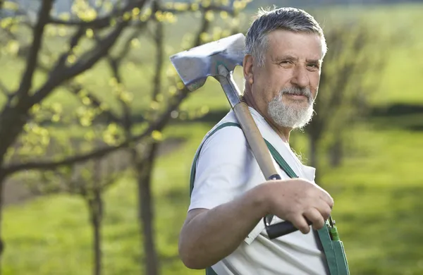 Portrait of a senior man gardening in his garden (color toned im