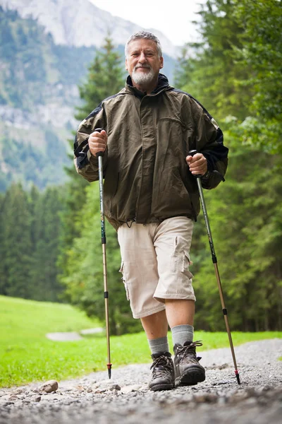 Active handsome senior man nordic walking outdoors on a forest p