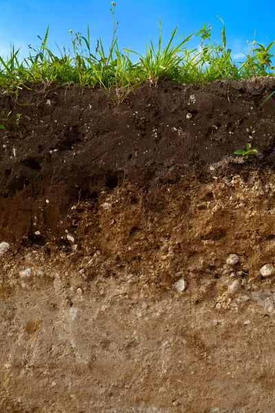 A cut of soil