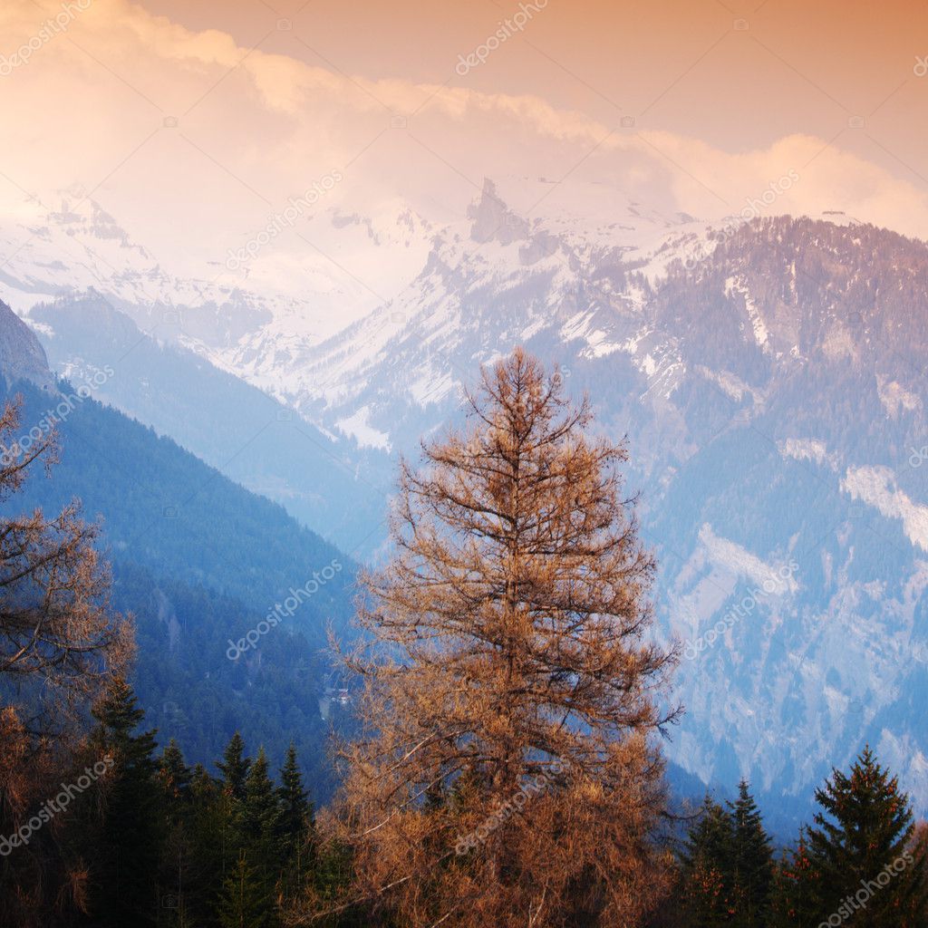 spring alps