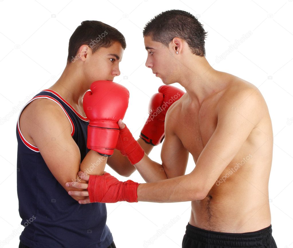 Boxers Training