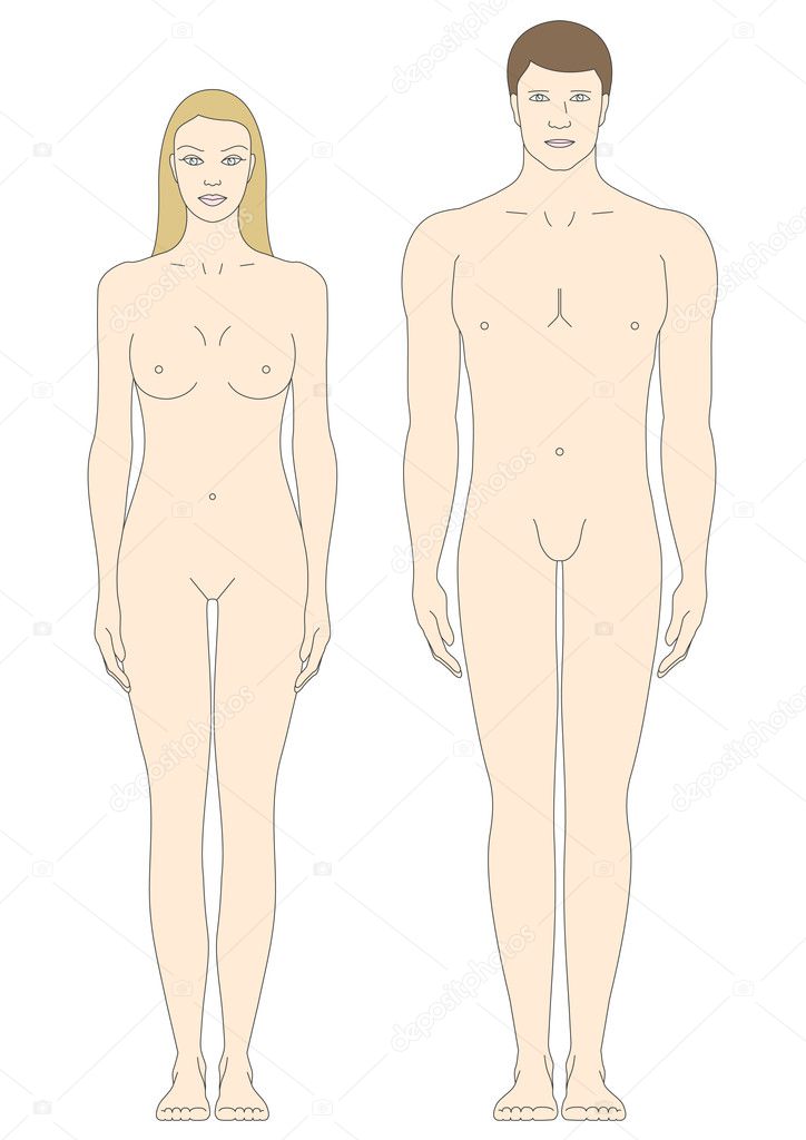 woman body template