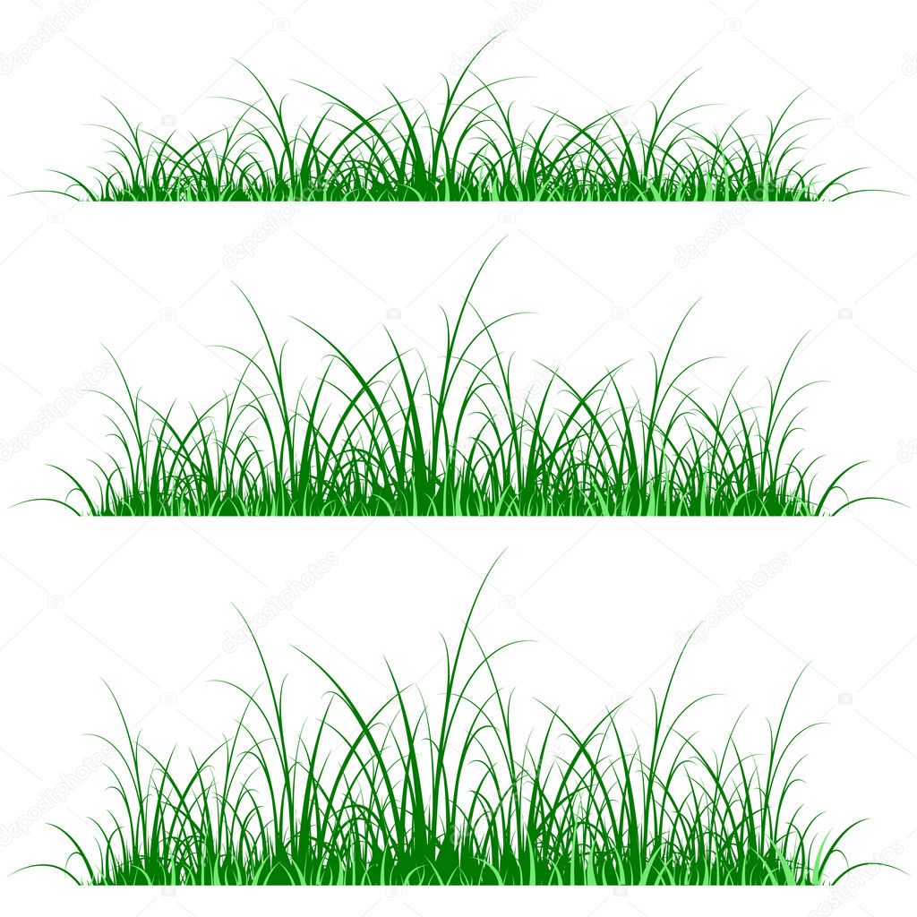 Grasses Silhouette