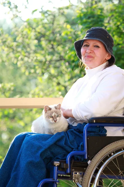 Person in wheelchair and cats