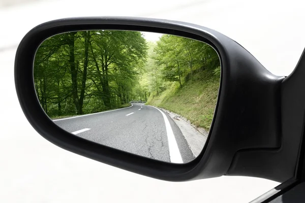 Rearview car driving mirror view forest road